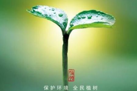 傲群連續(xù)10年參加番禺青企的“愛心林”植樹活動
