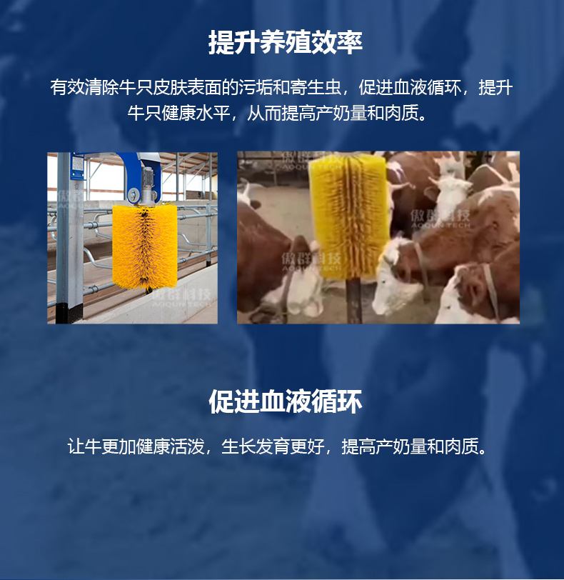 牛體清潔刷04