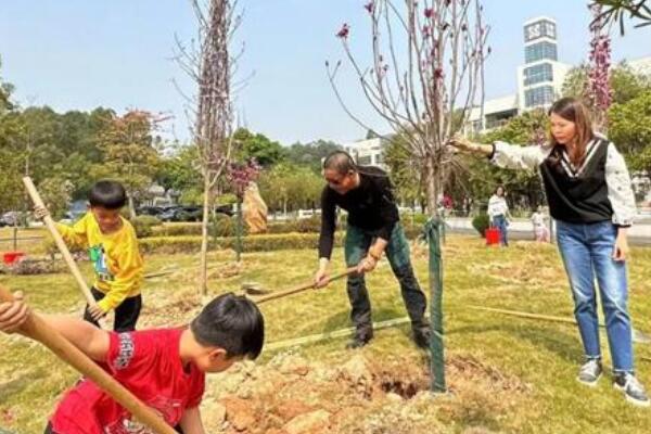 植樹(shù)活動(dòng)現(xiàn)場(chǎng) 植樹(shù)活動(dòng)現(xiàn)場(chǎng)